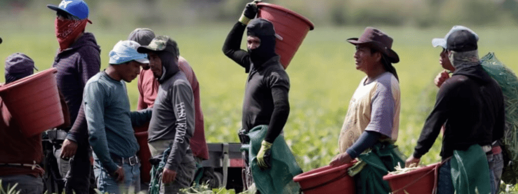 de desafios a oportunidades la historia de los inmigrantes entre texas y florida