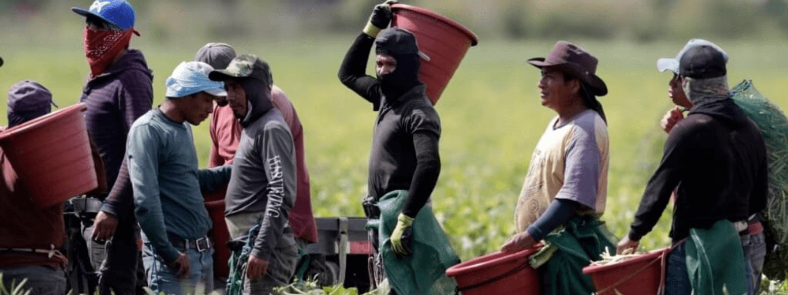 de desafios a oportunidades la historia de los inmigrantes entre texas y florida