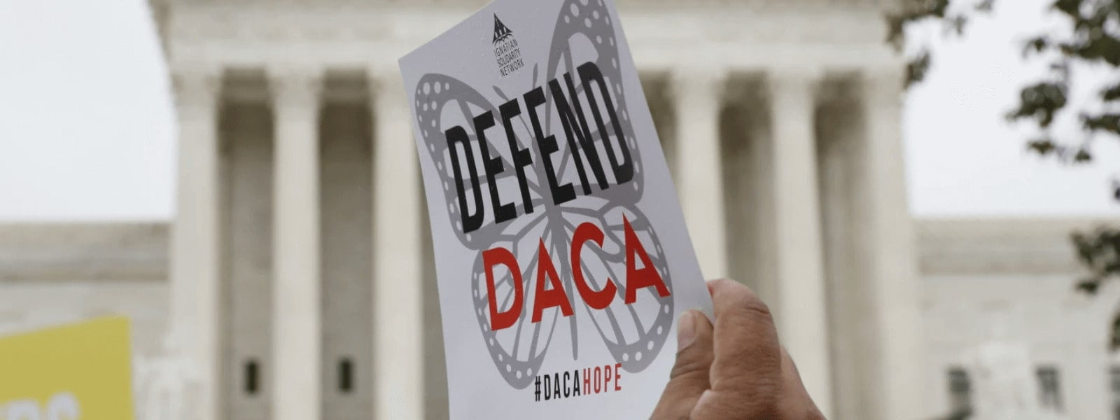 sentencia judicial daca en peligro min