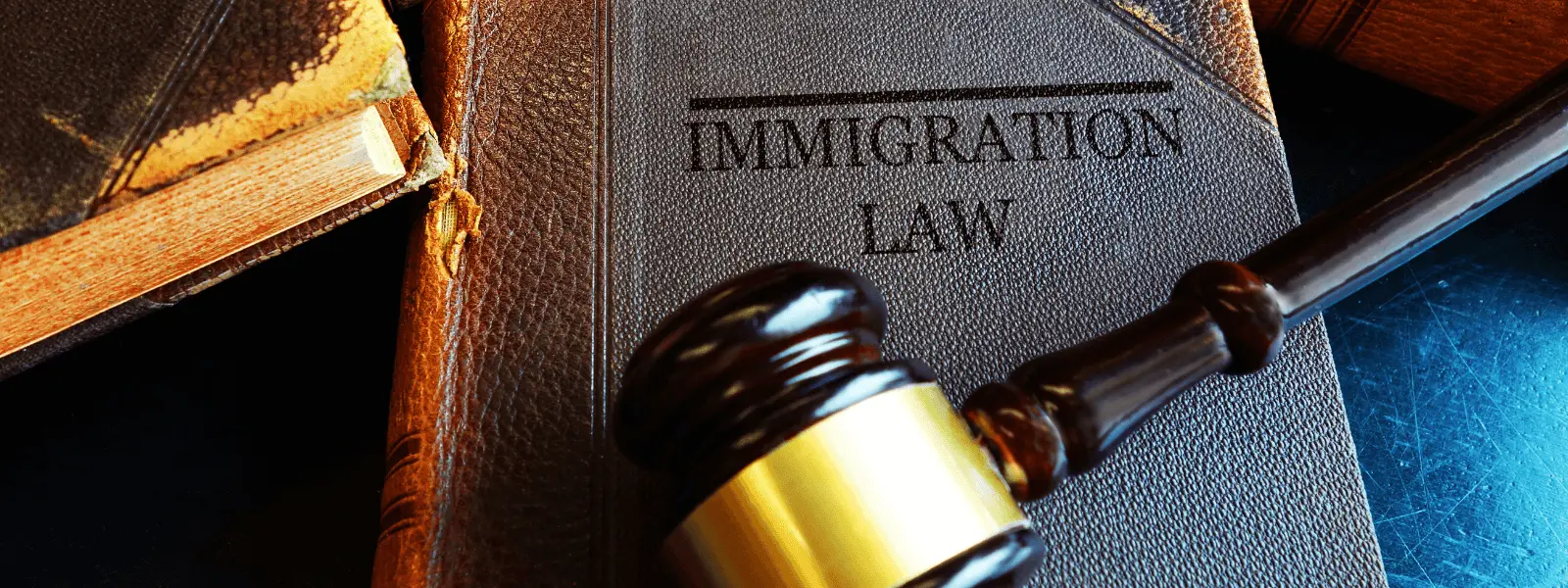navegando el laberinto legal orden de deportación en ee. uu